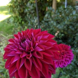 Meet your Posher, Benjamin